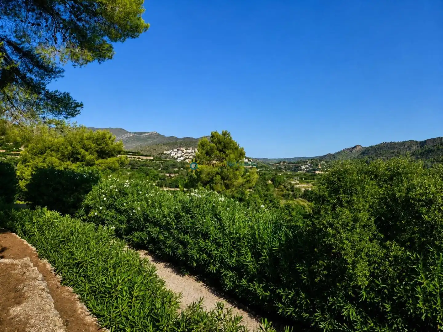 Rural land for sale in L'Atzúbia, imagen 9