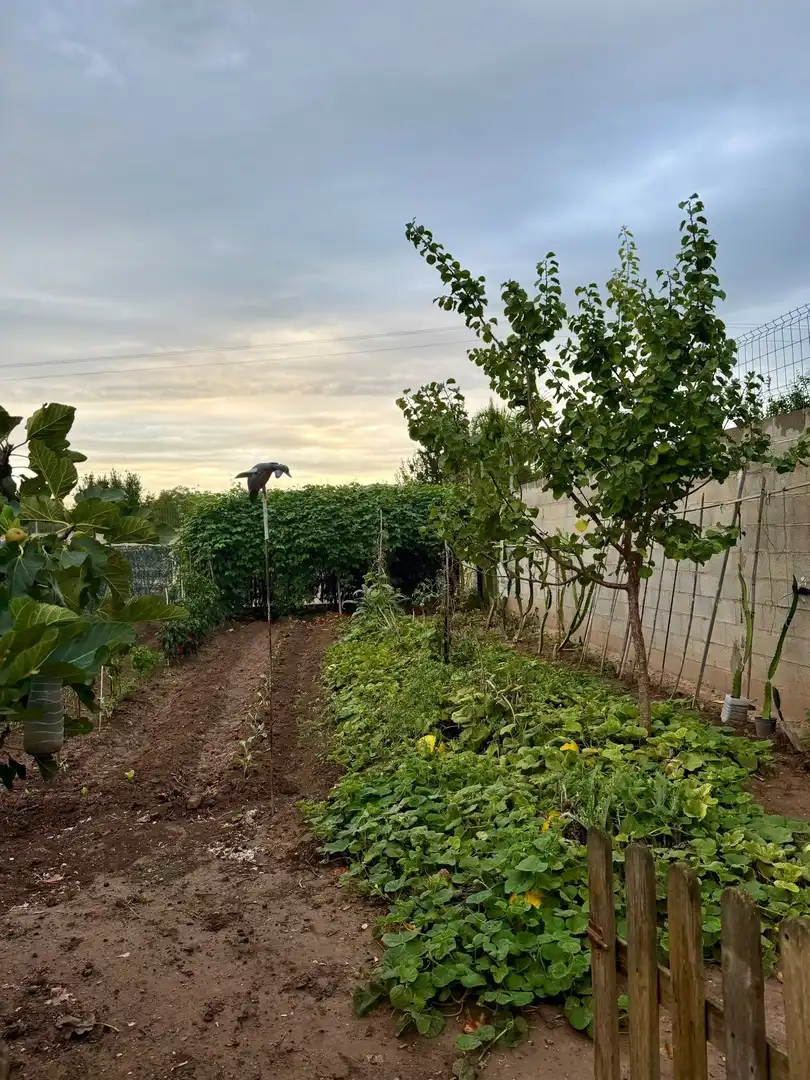 Maison rustique avec piscine à vendre à Sueca ciudad, imagen 72
