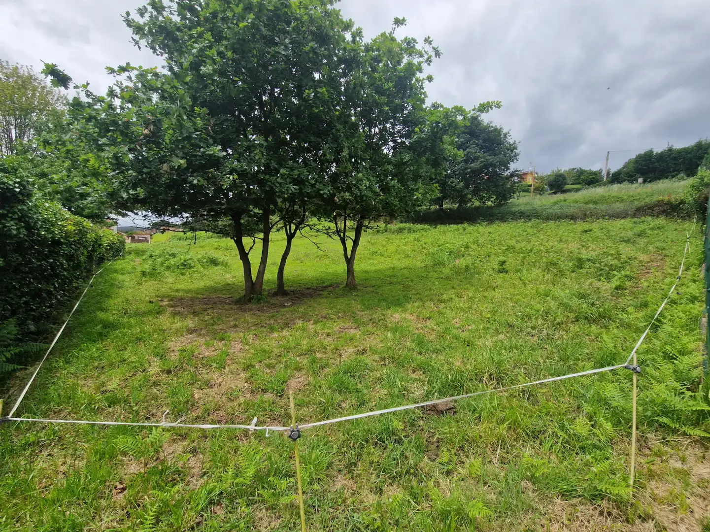 Terrain rustique à vendre à Santa María del Mar - El Puerto, imagen 3