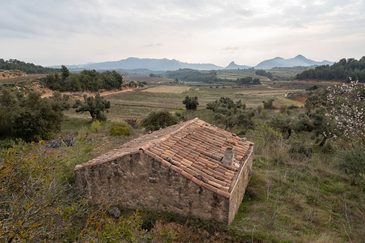 Country house for sale in Bot