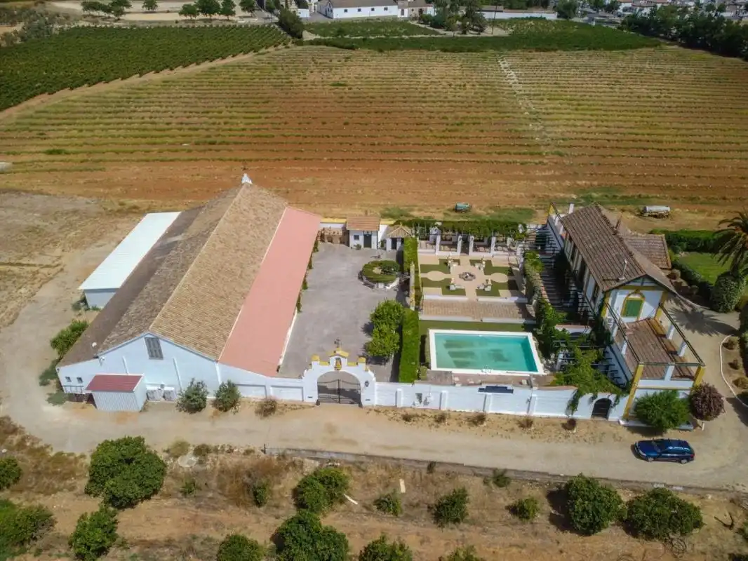 Jardí de Casa o xalet en venda en Espartinas amb Calefacció, Jardí privat i Terrassa