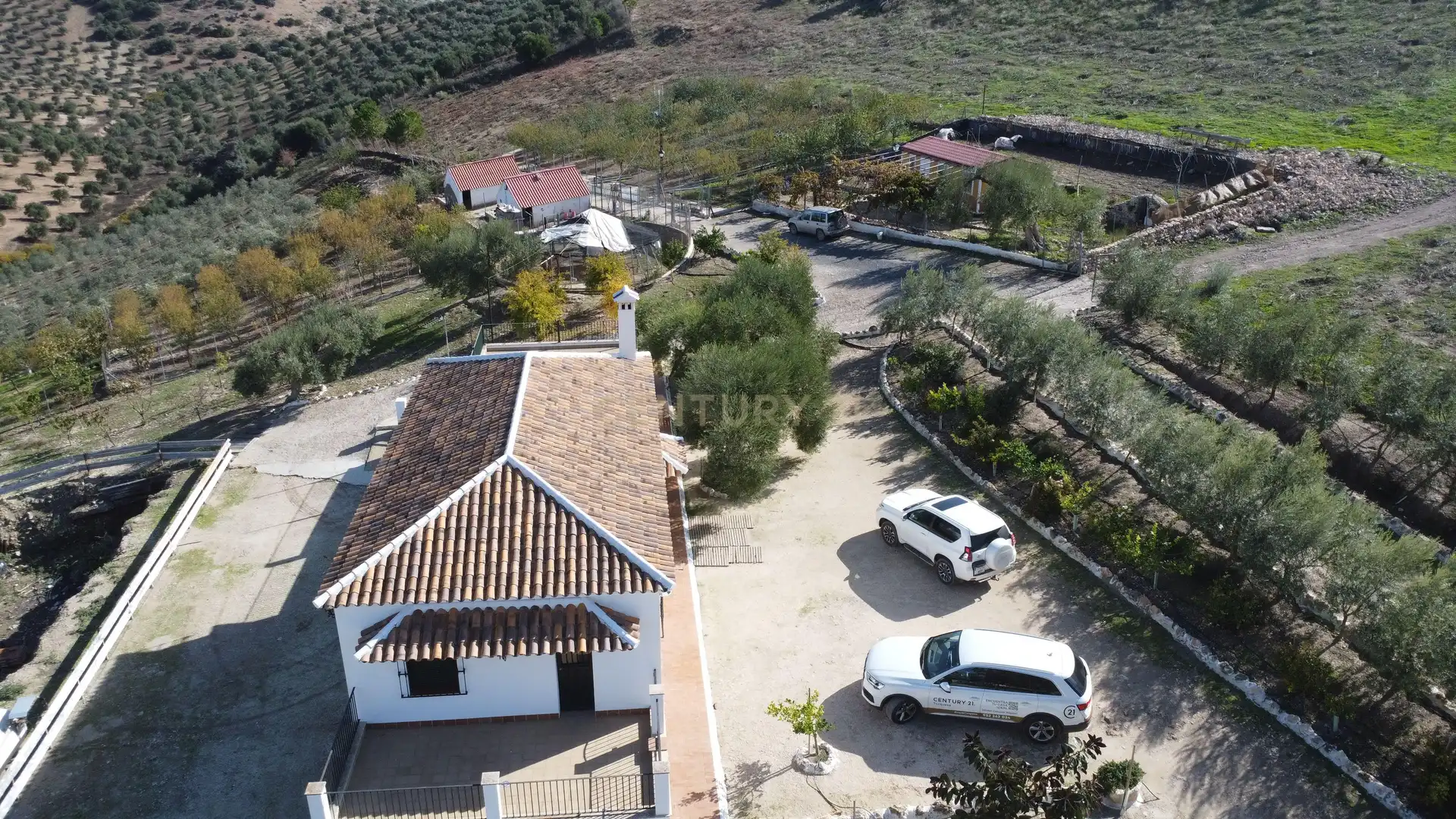 Vista exterior de Casa o chalet en venta en Osuna con Jardín privado, Amueblado y Balcón