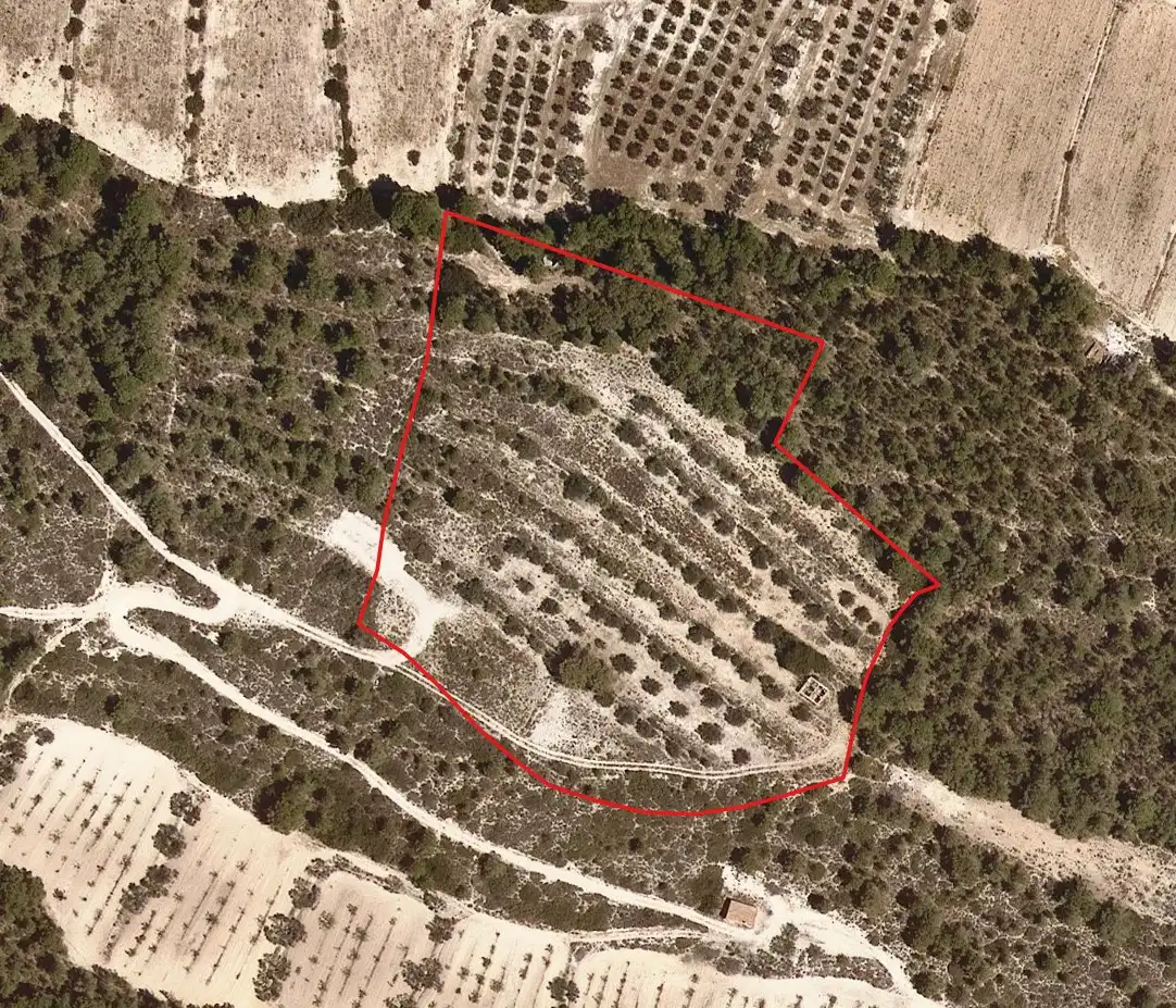 Rural land for sale in Benissanet