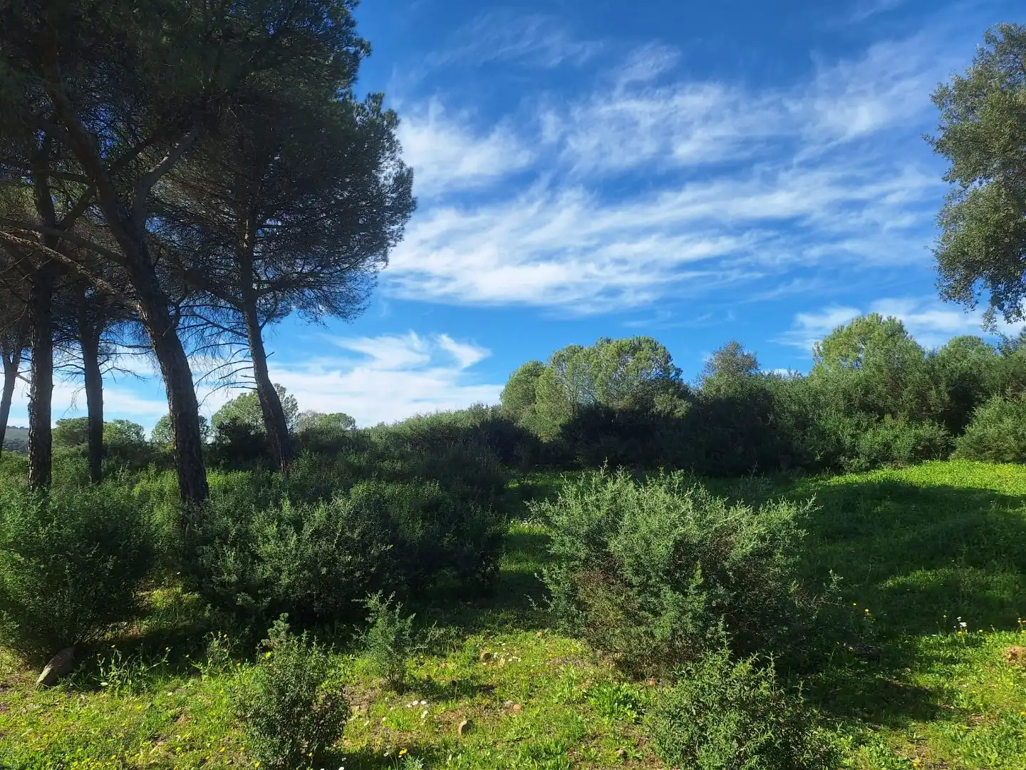 Grundstücke zum Verkauf in El Campillo (Huelva)