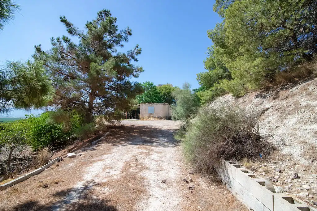 Lands and plots for sale in Paraje del Tale, imagen 14