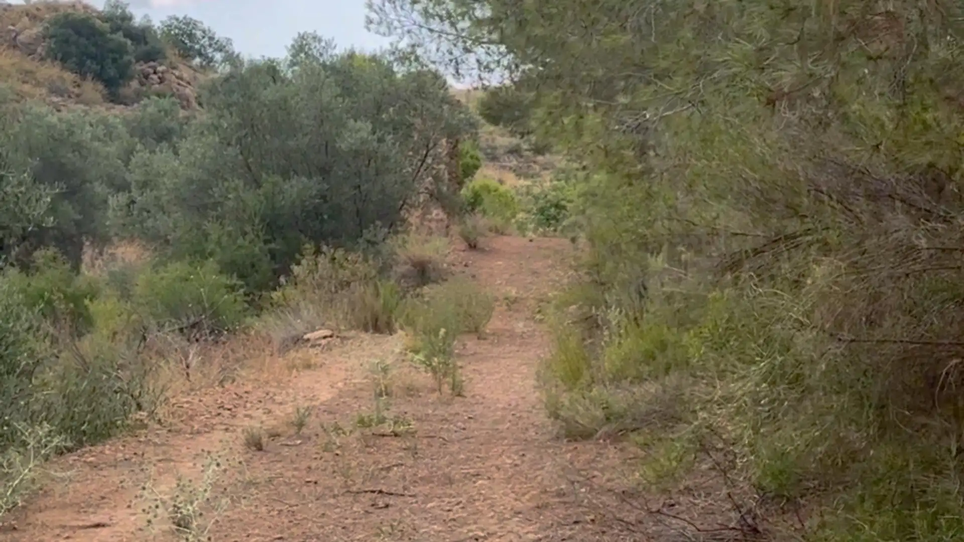 Country homes for sale in Lorca  with Private garden