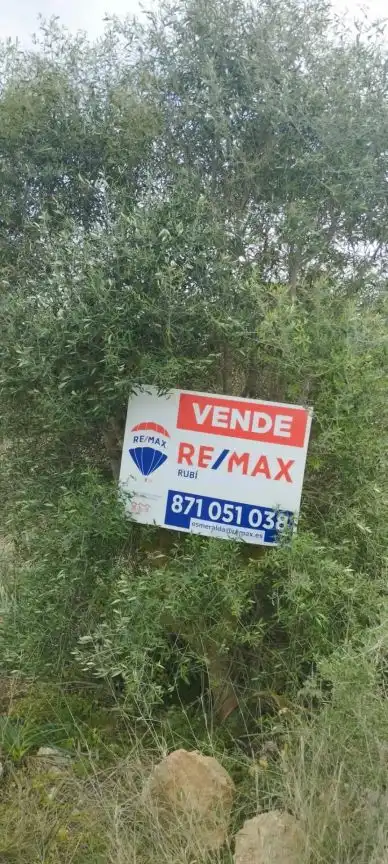 Rural land for sale in Felanitx Poble, imagen 10