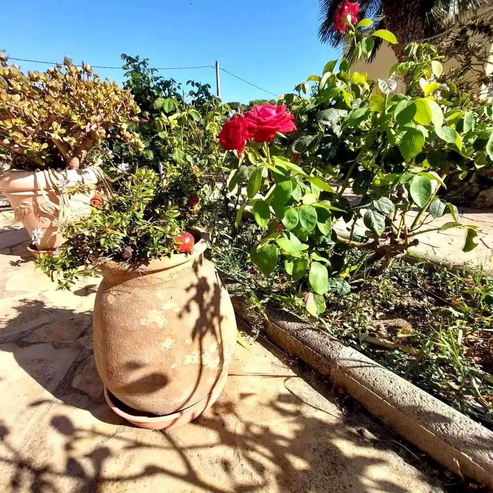 Jardín de Casa o chalet en venta en El Vendrell con Aire acondicionado, Calefacción y Jardín privado
