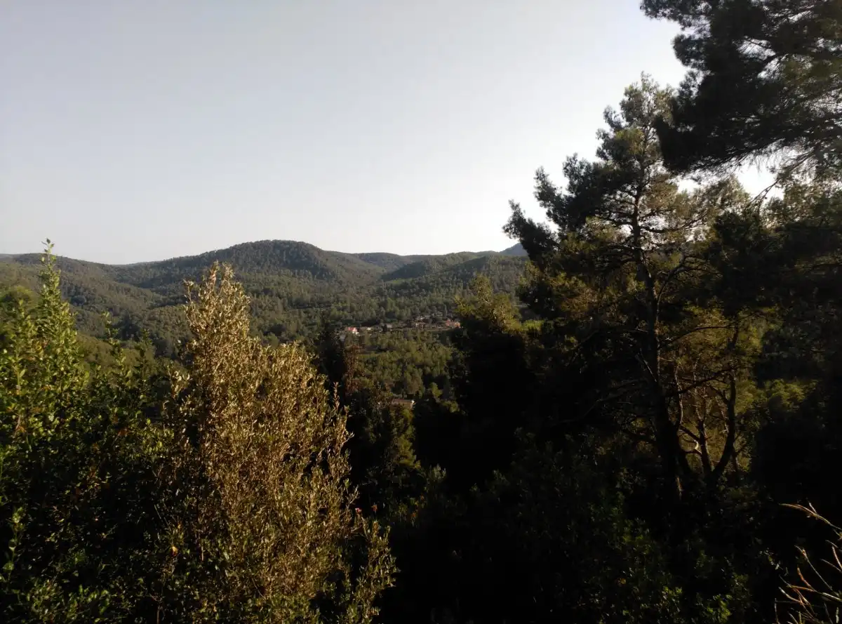 Terreni e lotti in vendita a Corbera de Llobregat, imagen 31