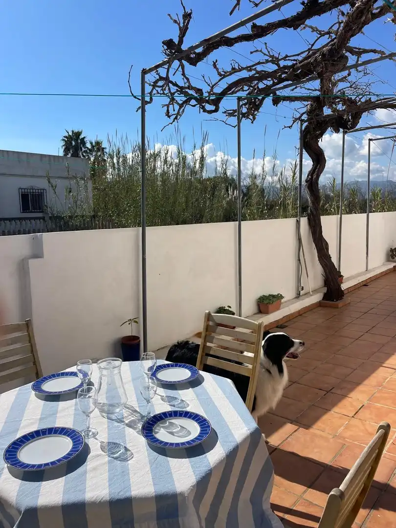 House with garden to rent in Oliva Playa, imagen 27