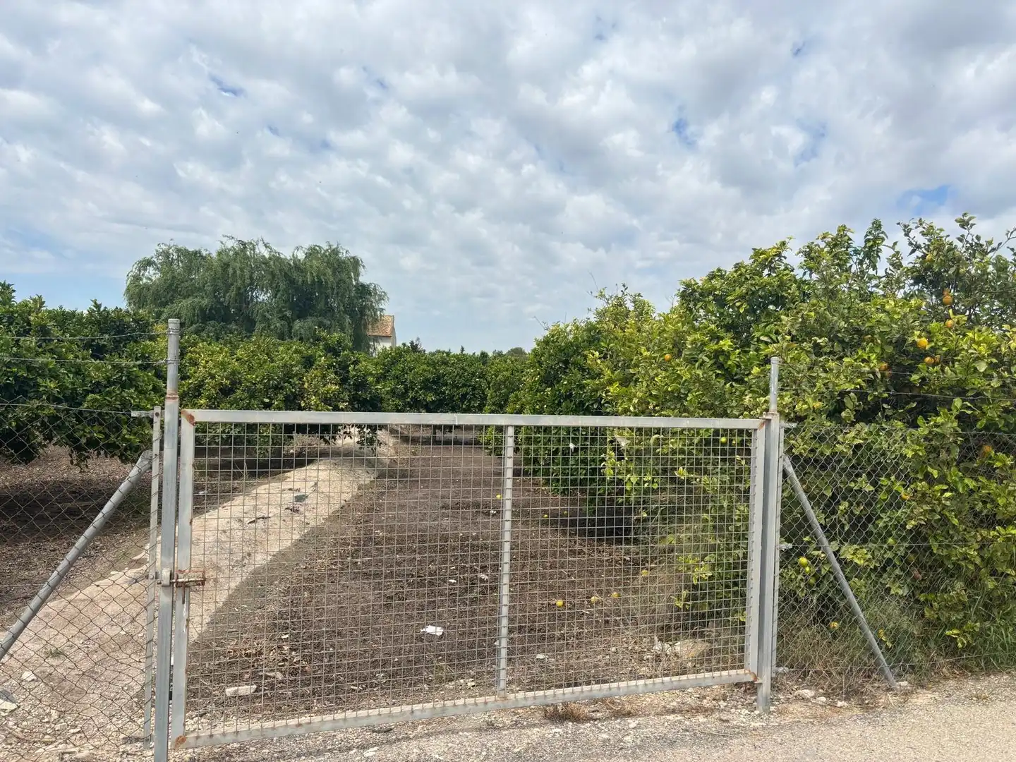 Finca rústica en venta en Guardamar del Segura