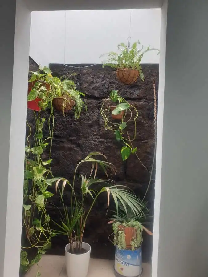Terraza de Apartamento en venta en Centro - La Vega Alta