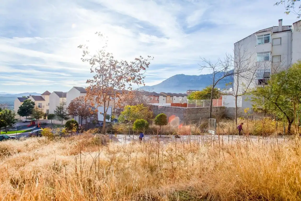 Residential land for sale in Calle Juan Martin Alguacil