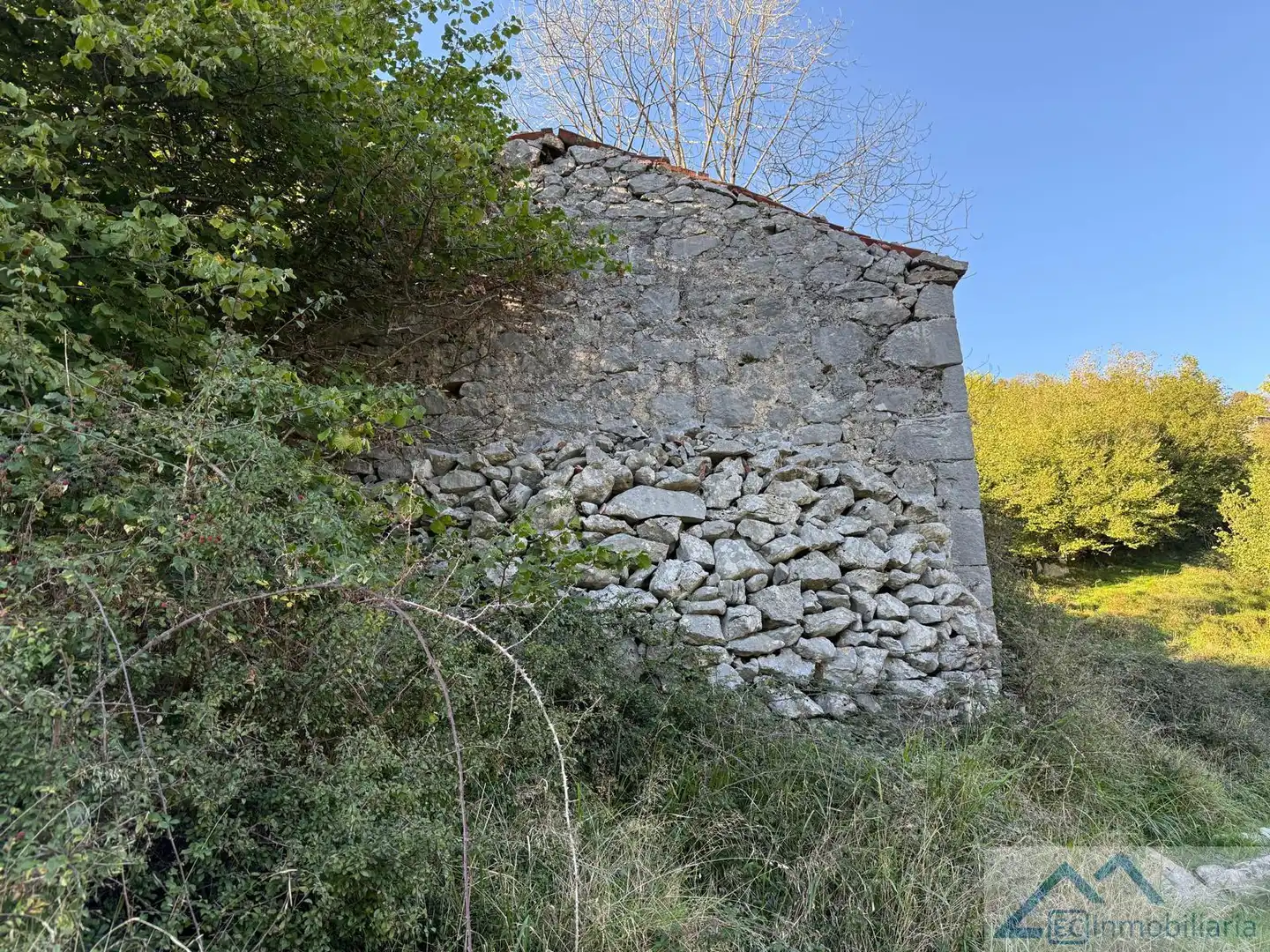 Vista exterior de Finca rústica en venta en Ruesga