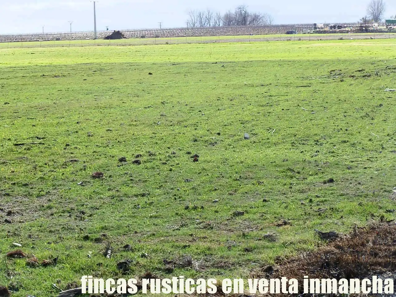 Terreni e lotti in vendita a Las Mesas, imagen 2