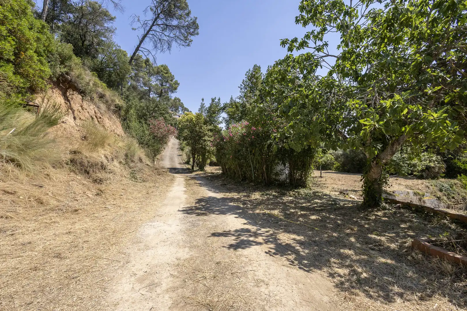 Casa con jardín en venta en Torrelles de Llobregat, imagen 5