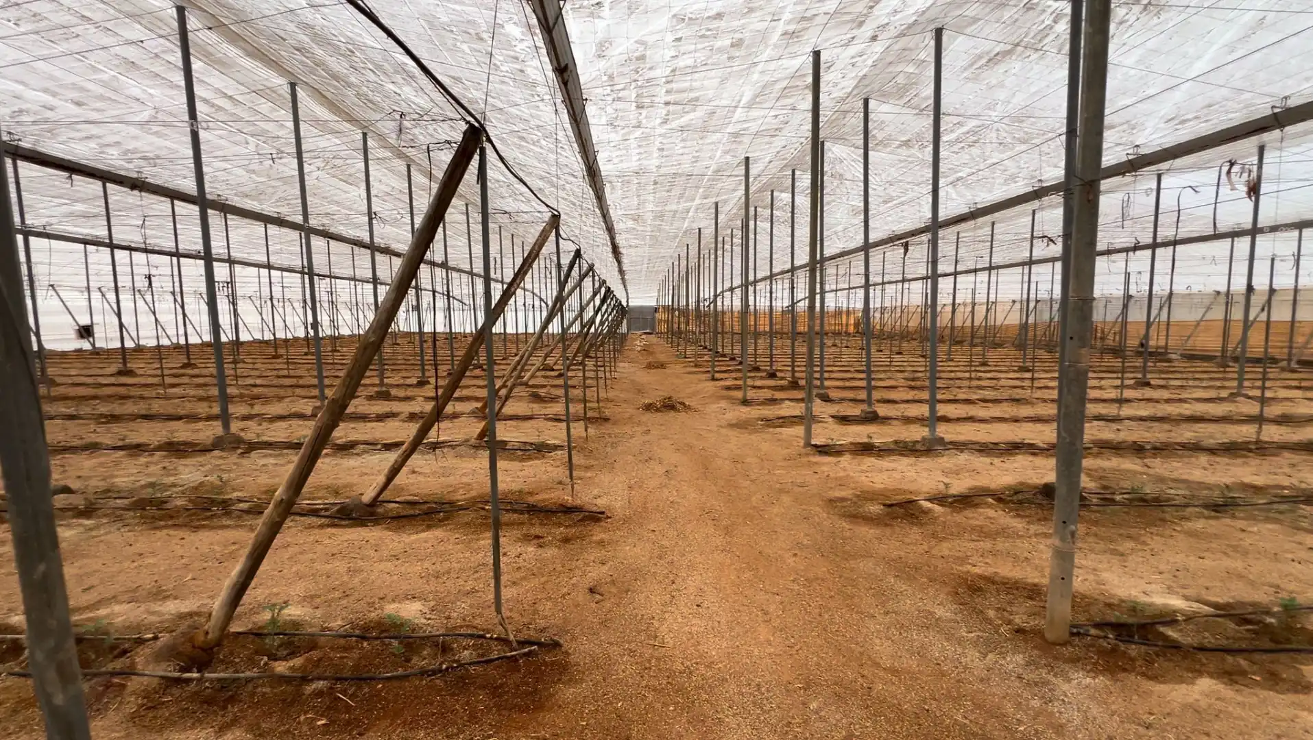 Jardí de Nau industrial en venda en Almería