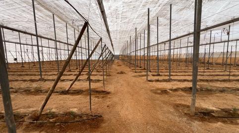 Photo 5 of Industrial buildings for sale in Retamar, Almería