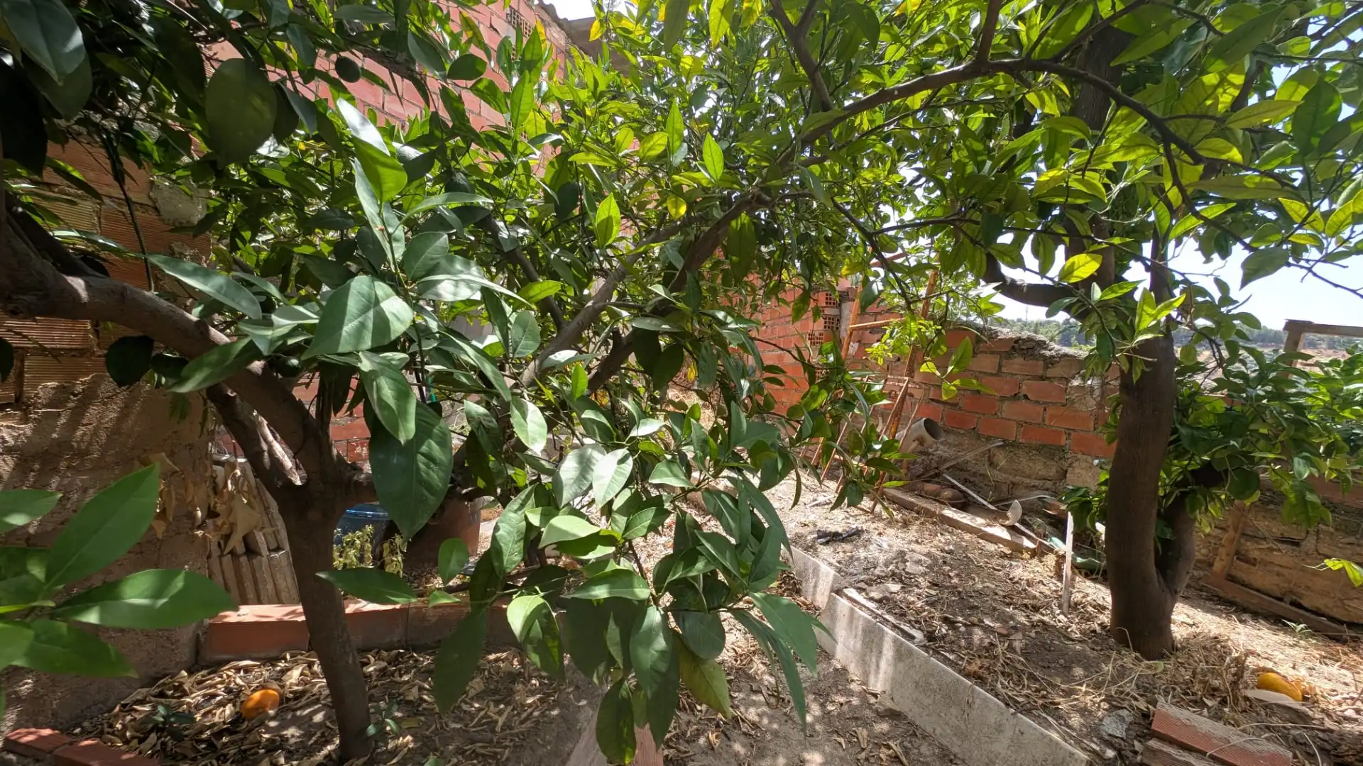 Jardí de Casa o xalet en venda en Alcaudete