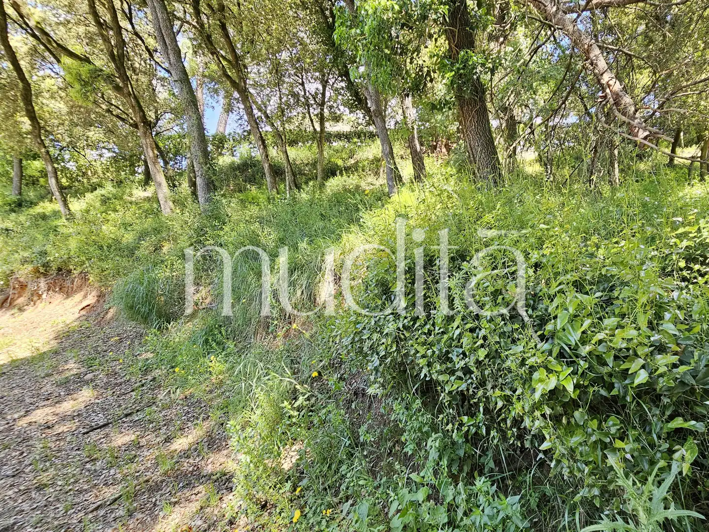 Residential land for sale in Sant Pere de Vilamajor, imagen 17