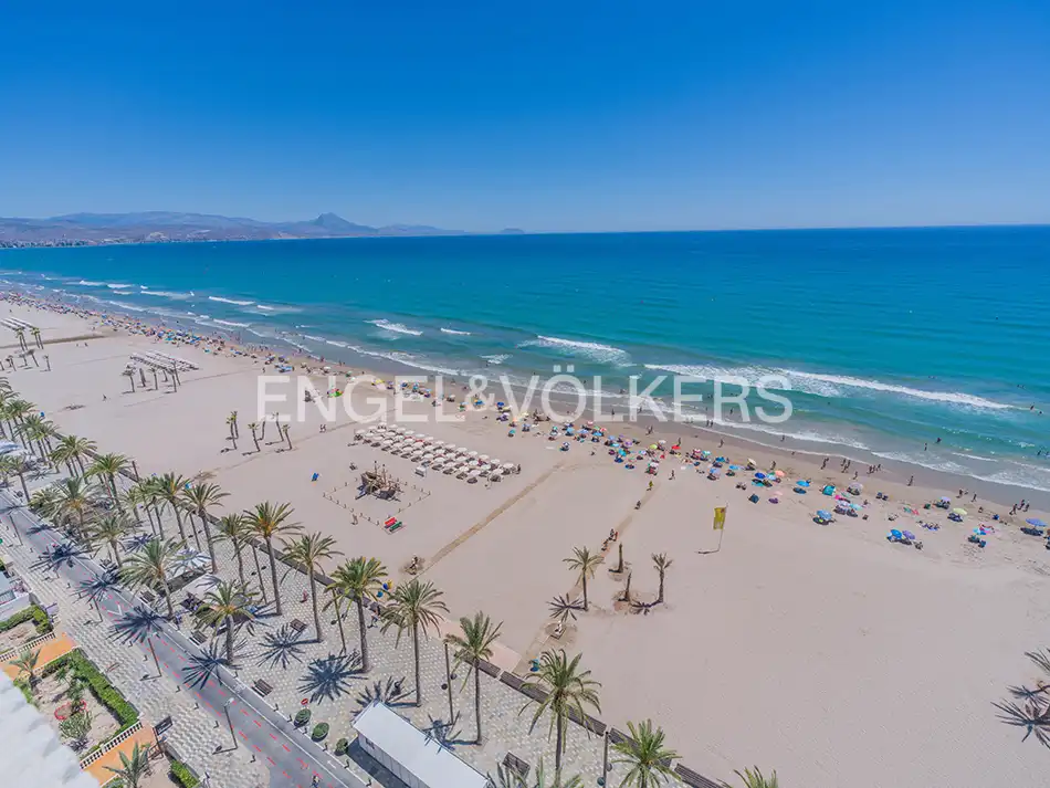 Exterior view of Flat for rent in Alicante / Alacant  with Heating, Terrace and Furnished