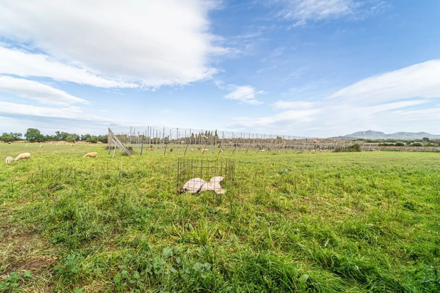 Residential land for sale in S'Horta - Cas Concos des Cavaller - Es Carritxó, imagen 11