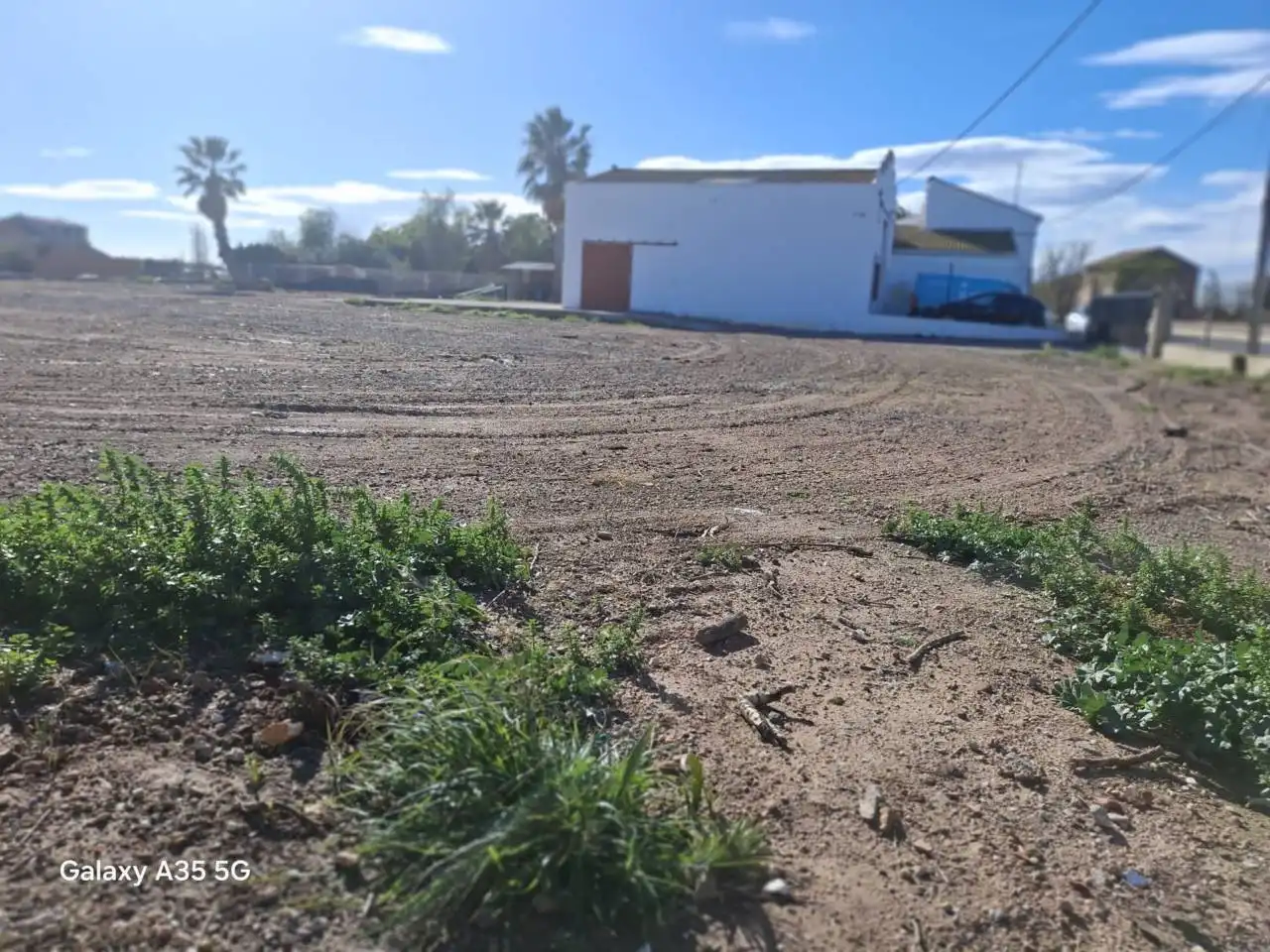Industrial buildings for rent in Almàssera