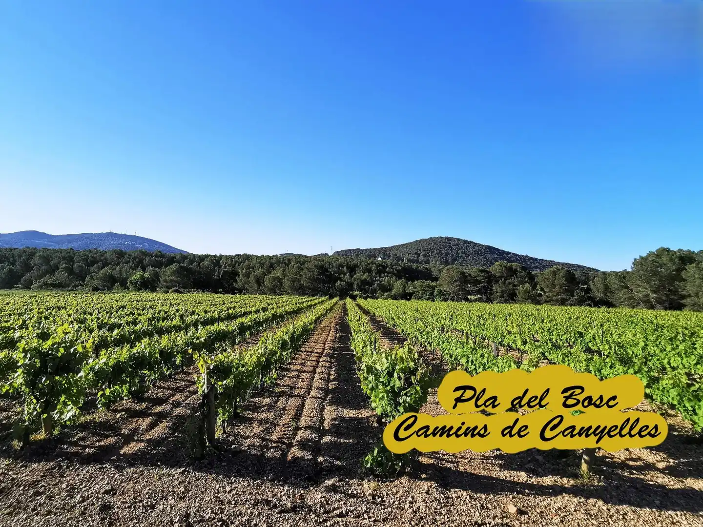 Terreno residencial en venta en Carrer CAMI DE LA VALL 3, imagen 9