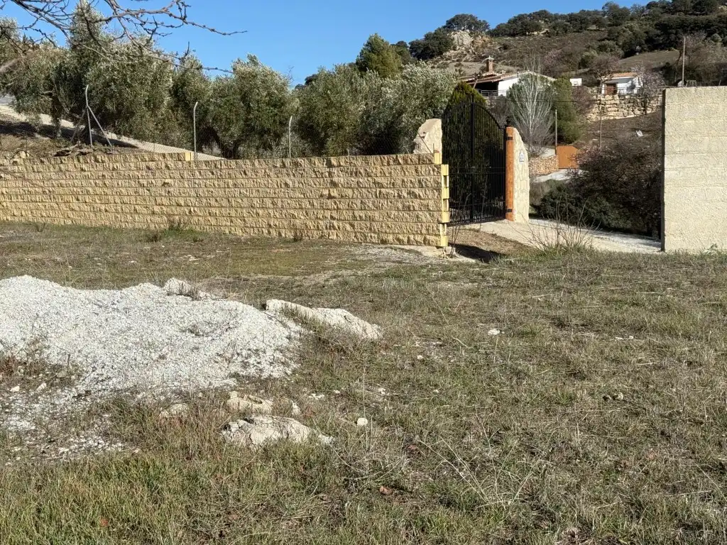 Terreny residencial en venda a Alhama de Granada, imagen 10