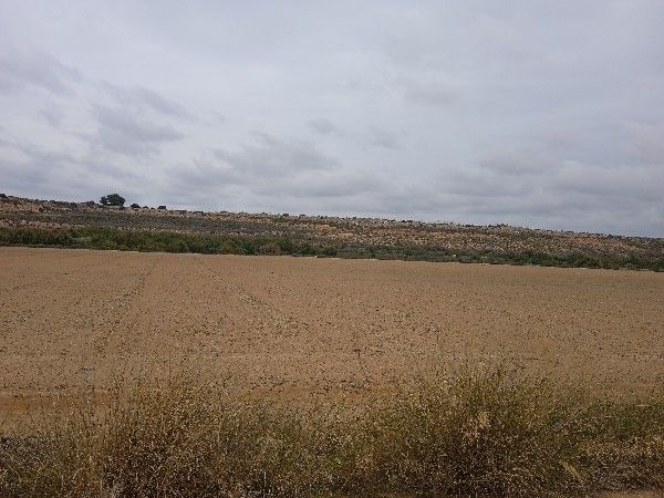 Residential for sale in  Murcia Capital