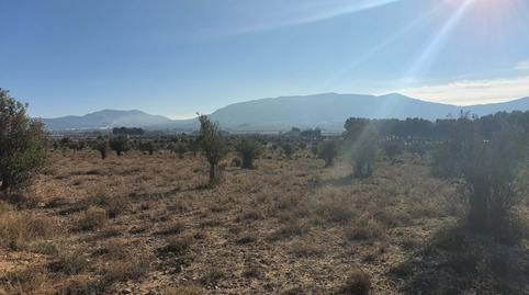 Foto 3 de Residencial en venta en Partida la Solana, San Francisco, Alicante