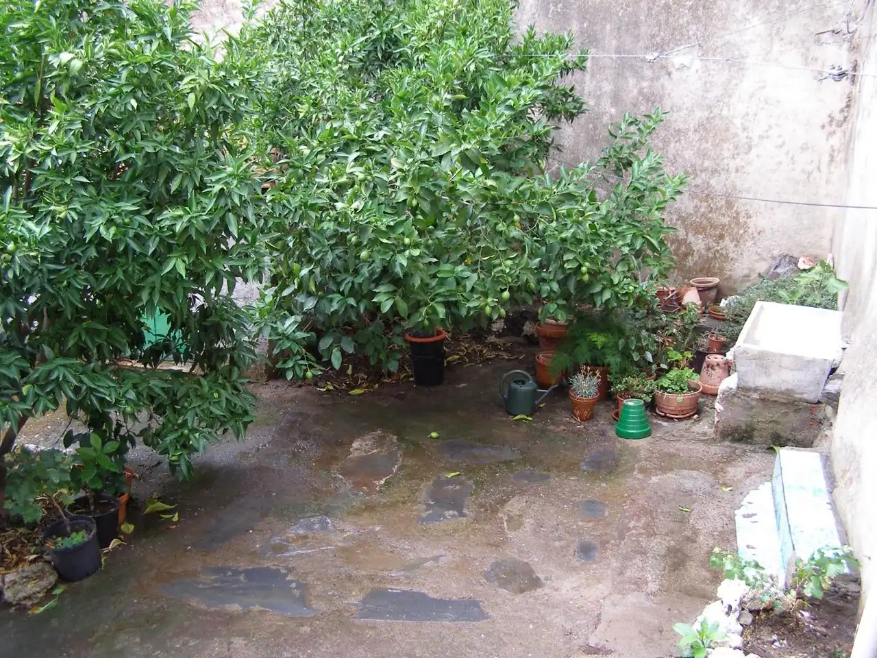 Jardí de Finca rústica en venda en Casar de Palomero amb Terrassa