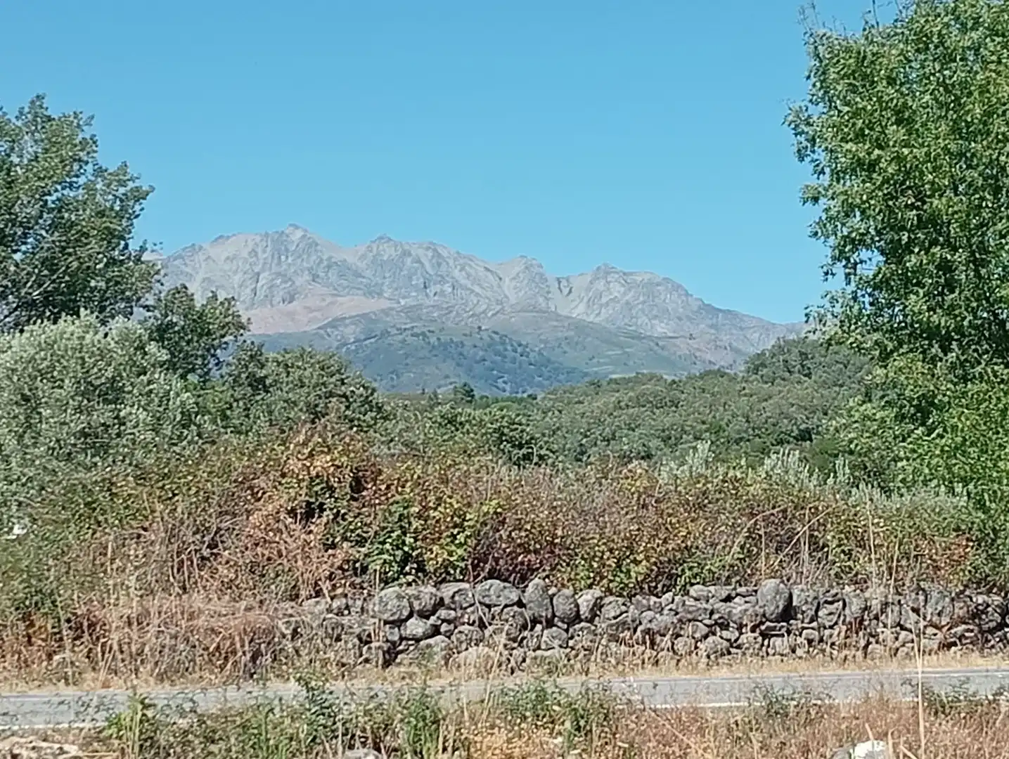 Terreni e lotti in vendita a Villanueva de la Vera, imagen 4