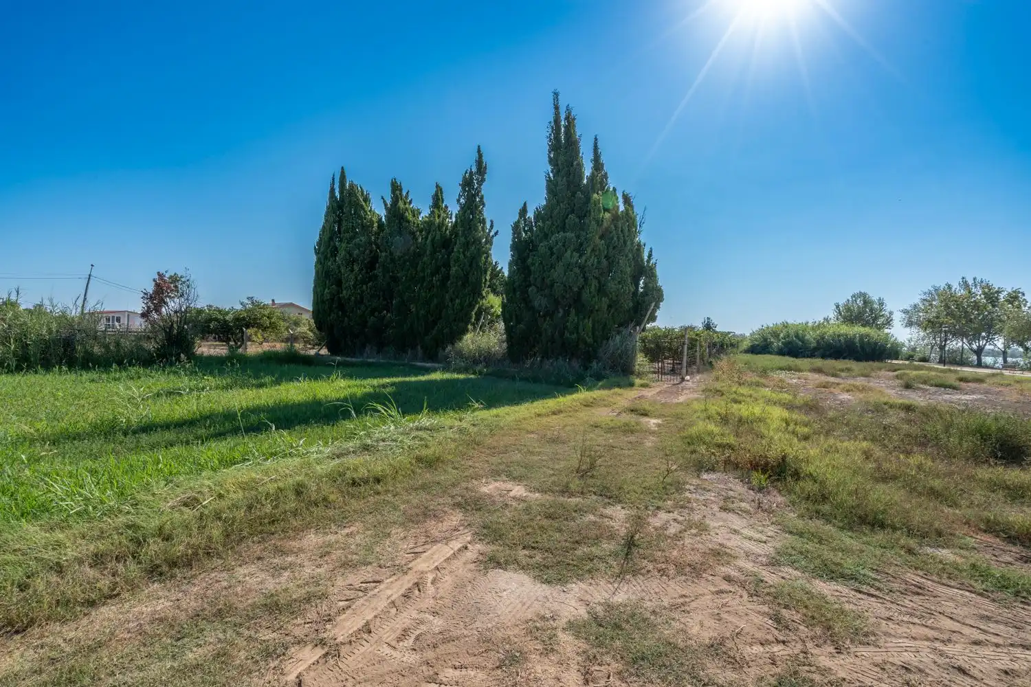Rural land for sale in Deltebre, imagen 12
