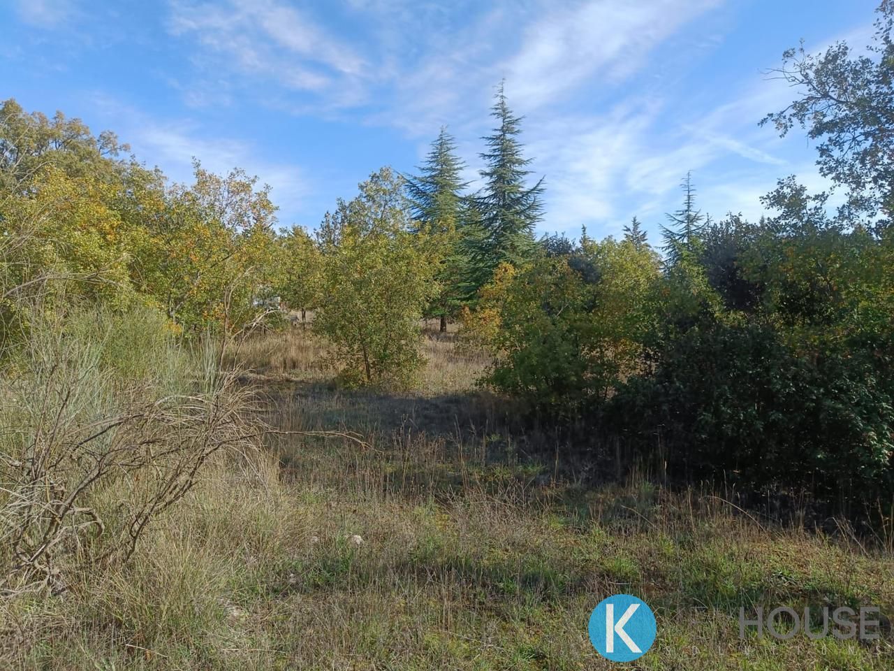 Land for sale in Pastrana