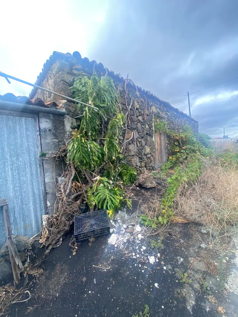 Vista exterior de Finca rústica en venta en Los Llanos de Aridane con Jardín privado y Amueblado