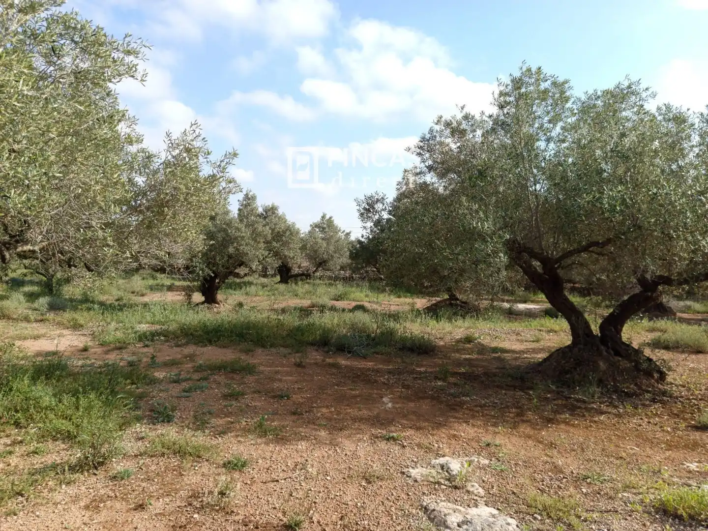 Country house for sale in QJMJ+85J, imagen 12
