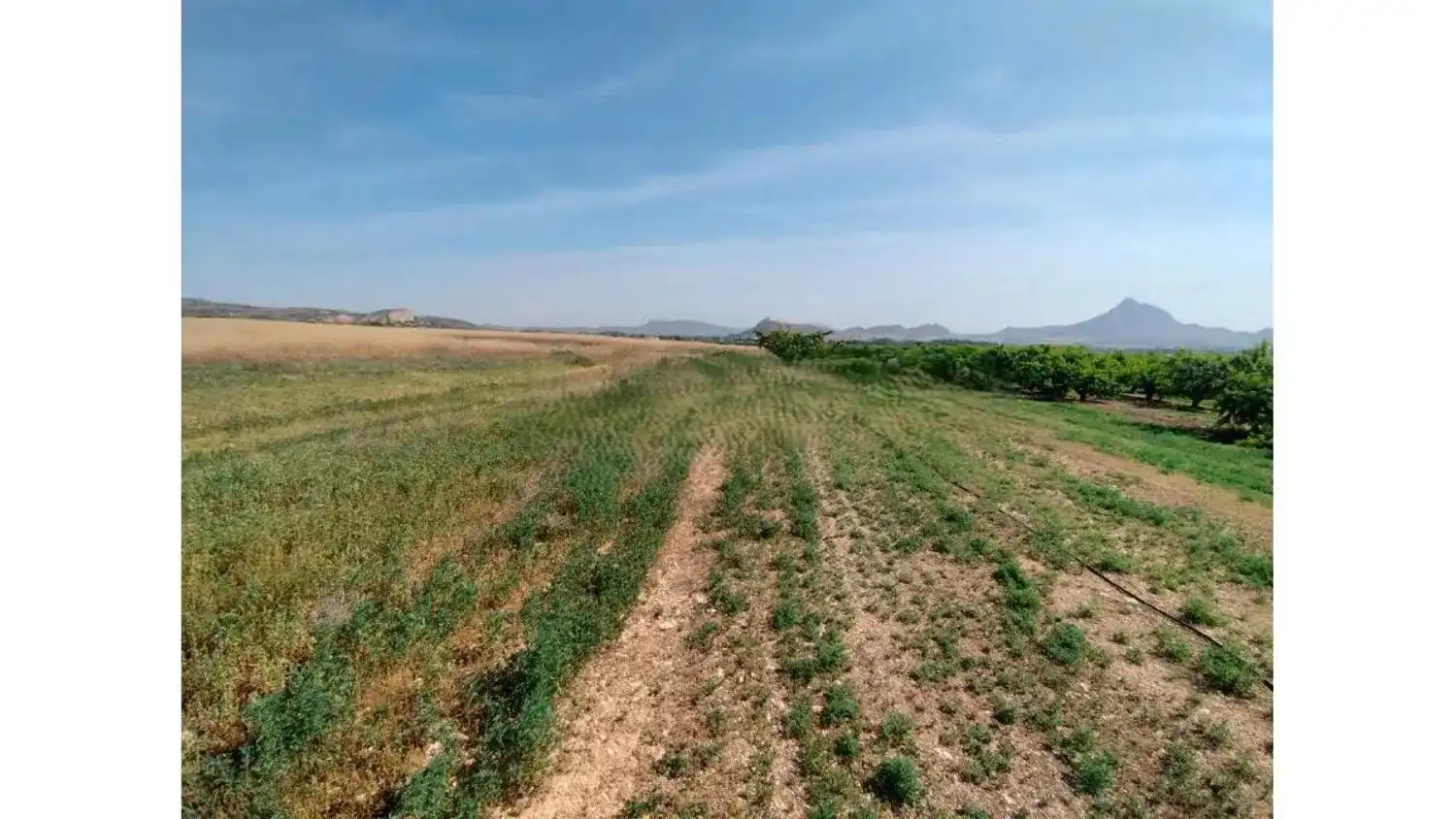 Residencial en venda a N/A, -1, Alhama de Murcia ciudad