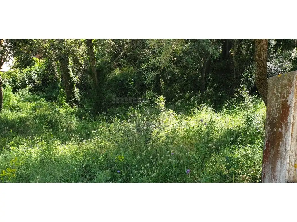 Terrain résidentiel à vendre à Platja de Pals, imagen 5