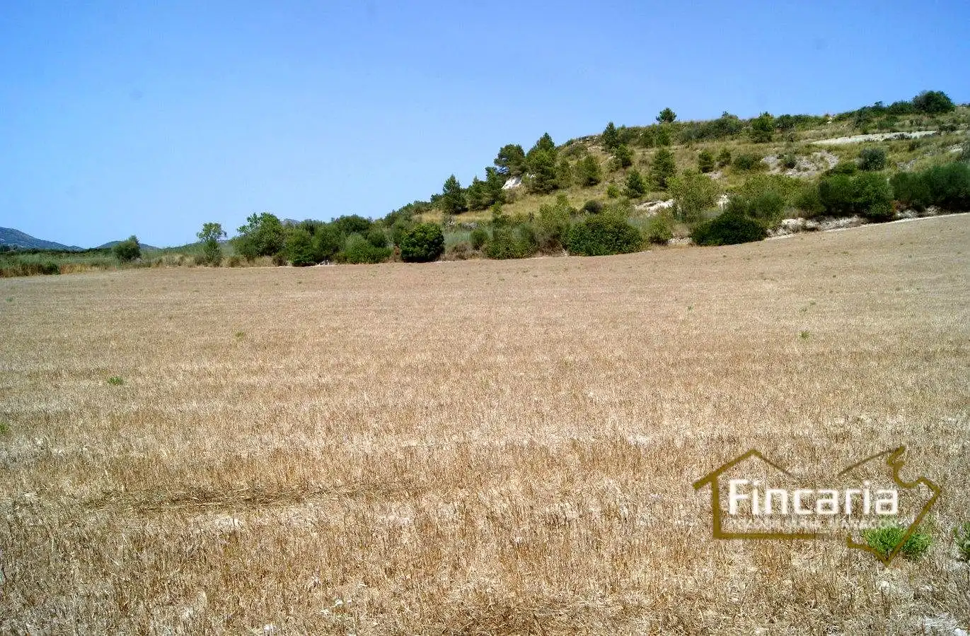 Terrenys i solars en venda a Camí de sa Murtera, imagen 8