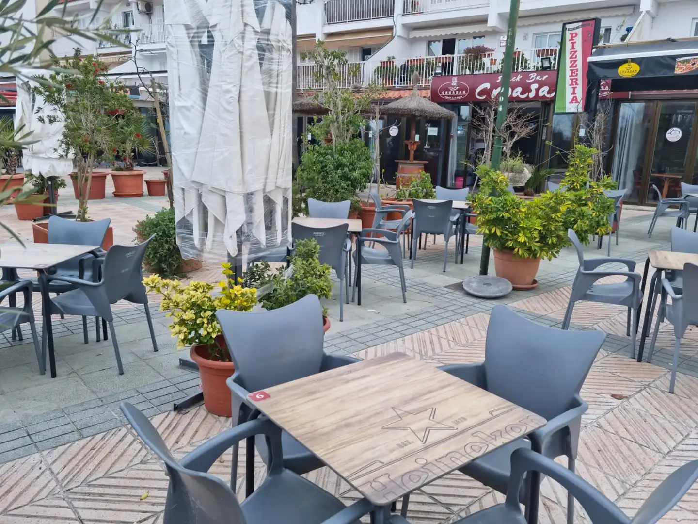 Local comercial en traspaso en Port d'Alcúdia - Platja d'Alcúdia, imagen 9