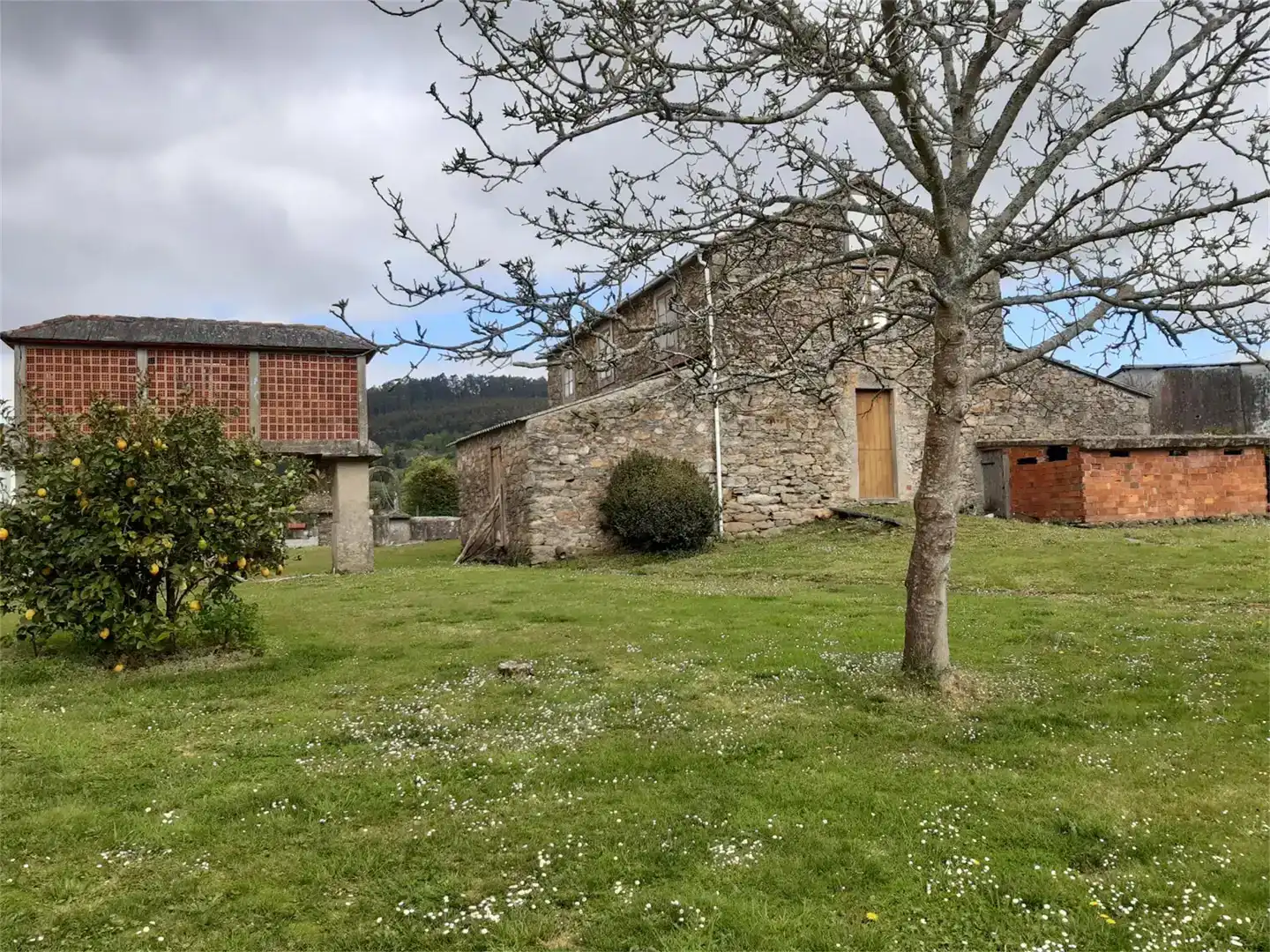 Vista exterior de Finca rústica en venda en Narón
