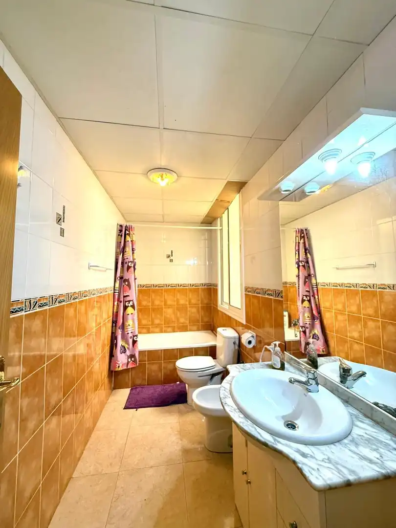 Baño de Edificio en venta en La Pobla de Mafumet