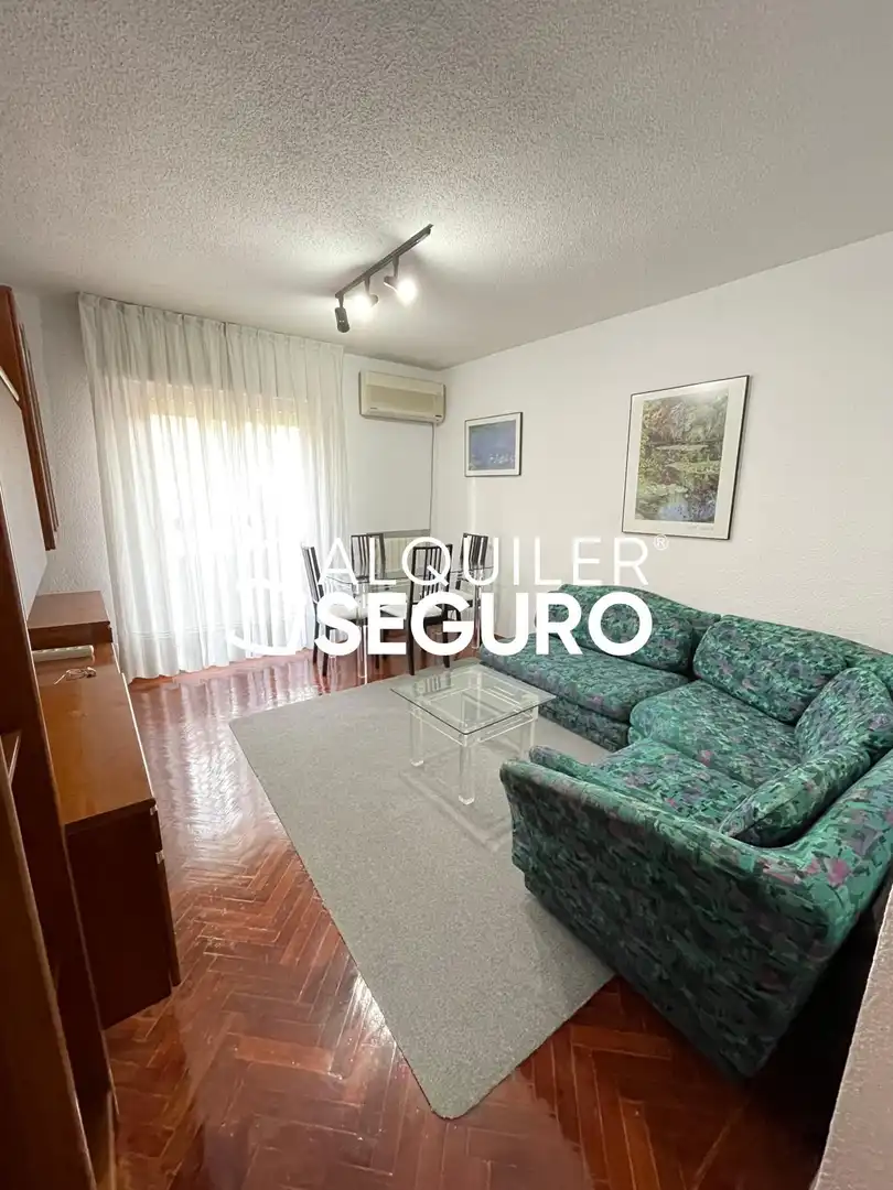 Sala d'estar de Pis de lloguer en Madrid amb Aire condicionat, Calefacció i Moblat