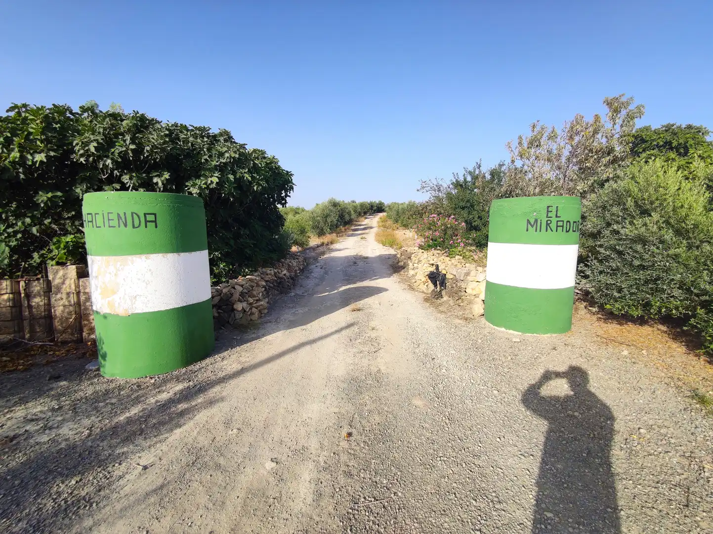 Vista exterior de Terreno en venta en El Cuervo de Sevilla