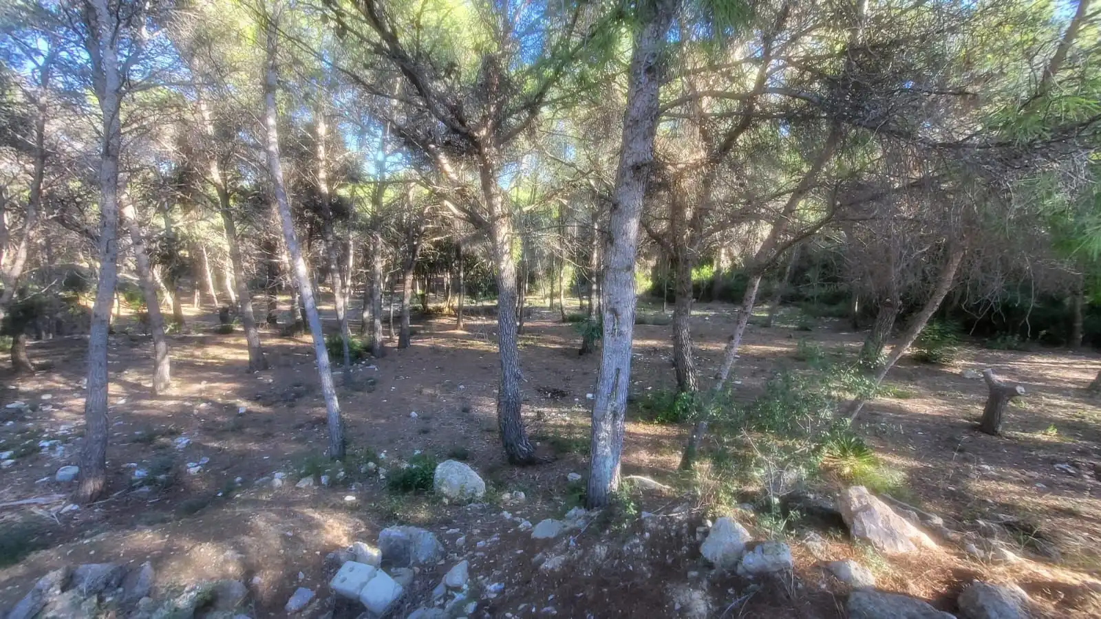 Terrenos y solares en venta en IBERS 29, imagen 4