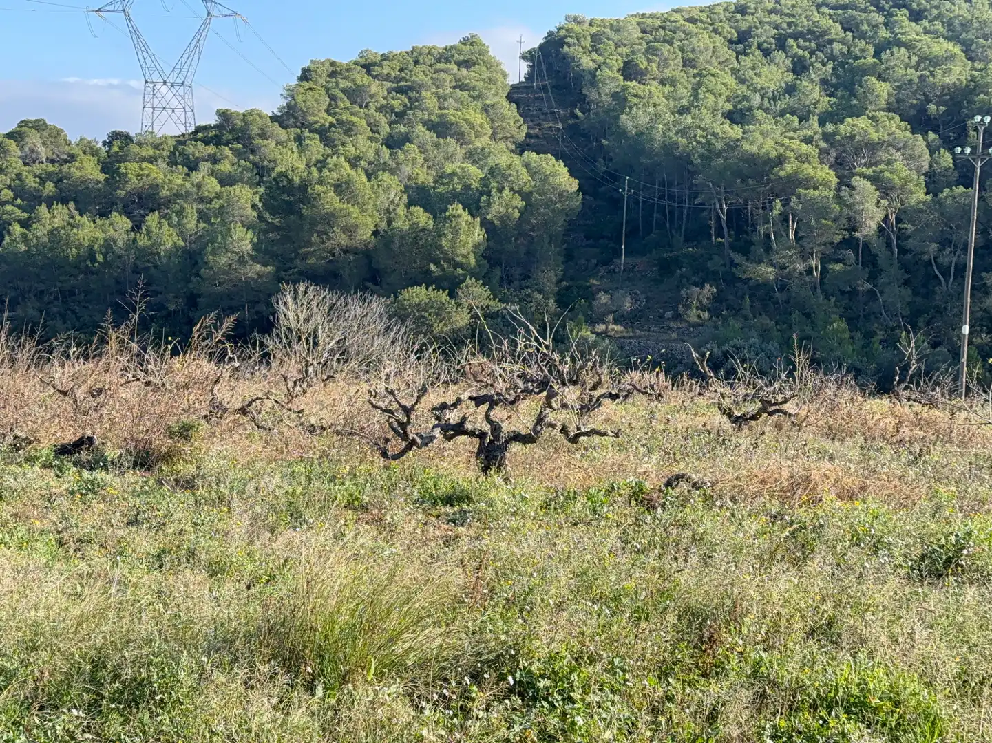 Rustikales Grundstück zum Verkauf in Carrer Major 35, imagen 12