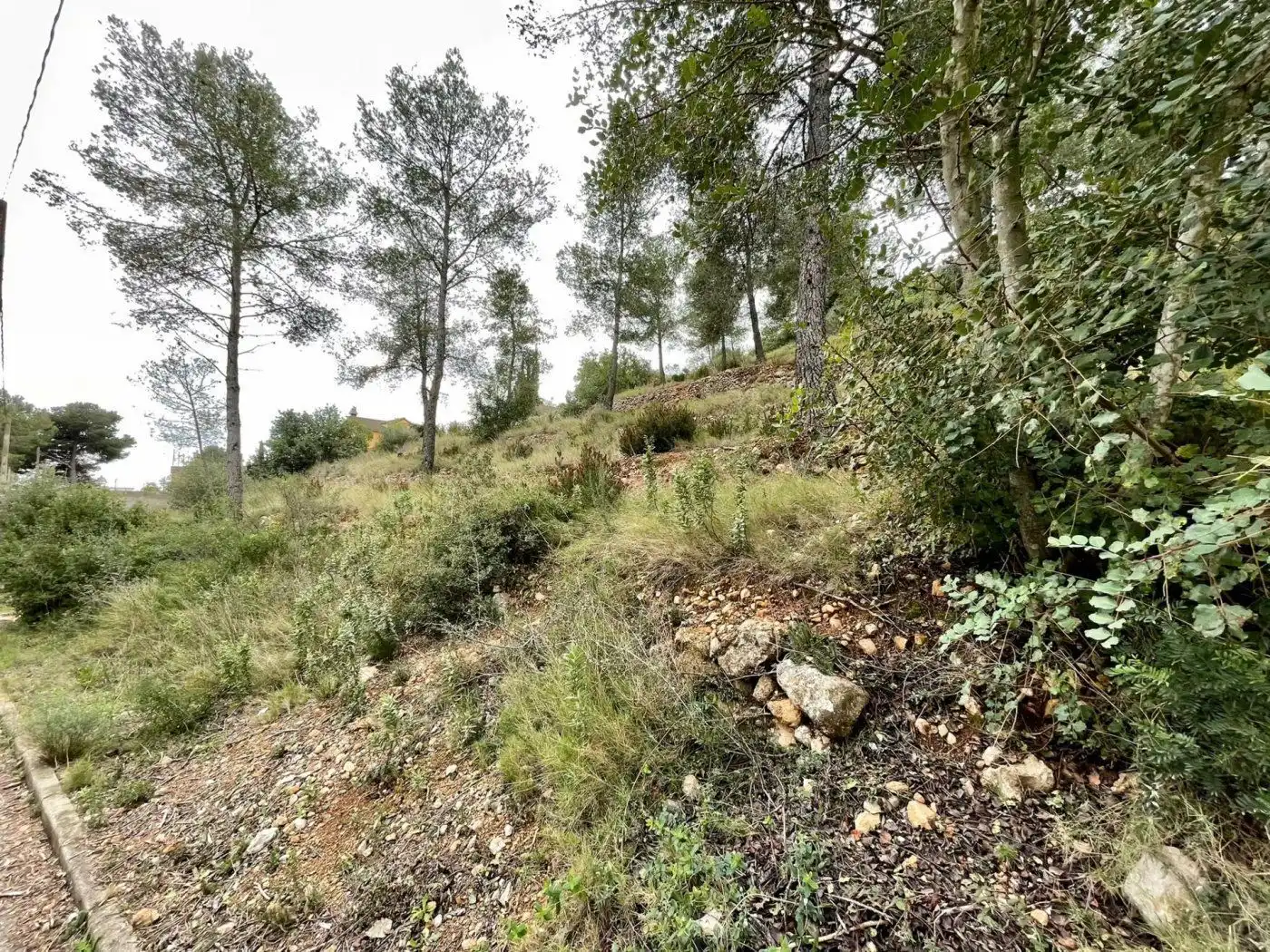 Rural land for sale in Segovia-Priorat 13, imagen 5