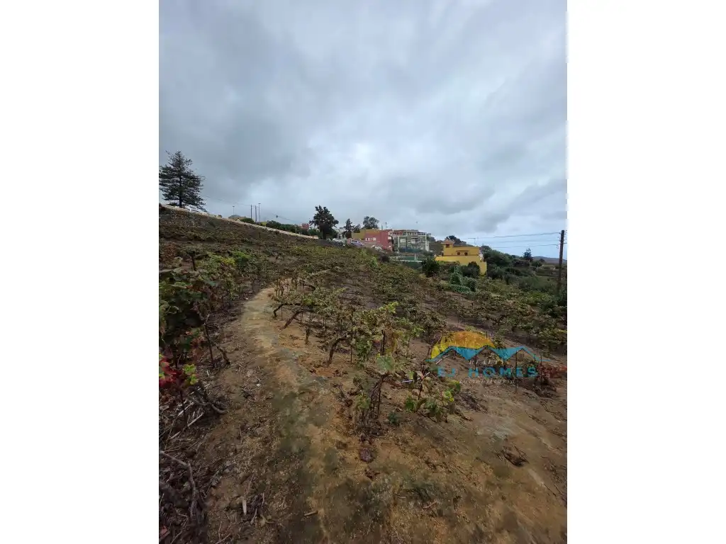 Houses for sale in La Orotava