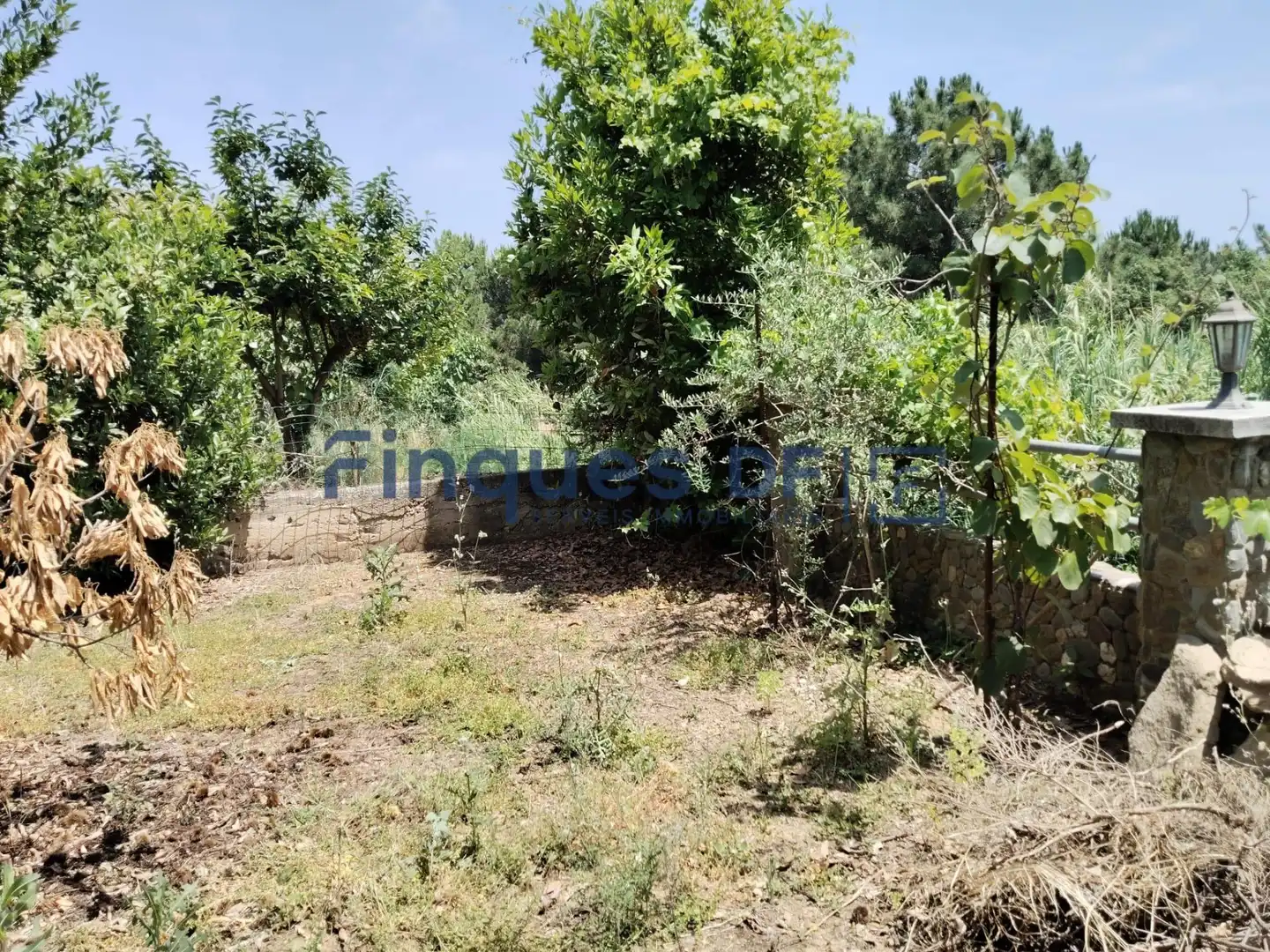 Terrenos y solares en venta en Riudarenes, imagen 11